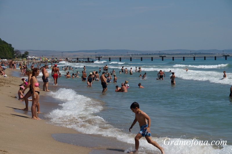 Сологан се появи в морето на плажа в Бургас, смениха зеления с жълт флаг