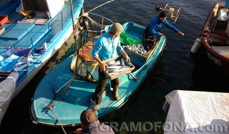 Бургаските рибари отбелязват Никулден по стар стил