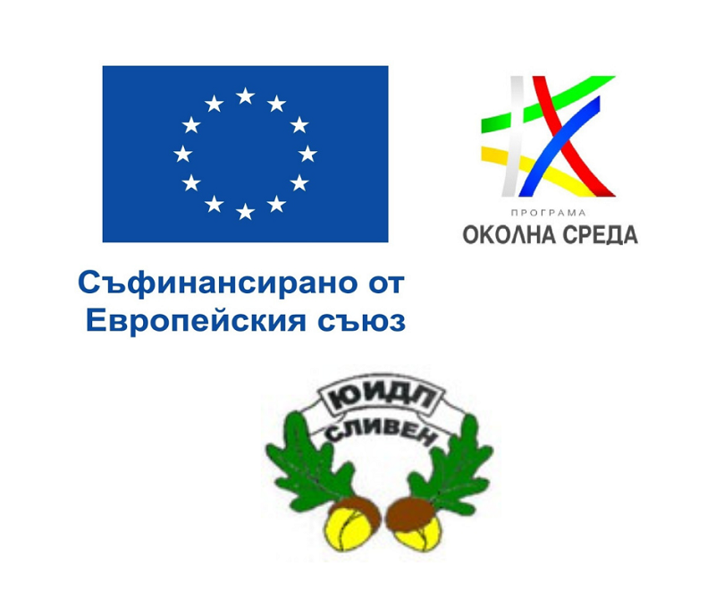 ЮИДП стартира проект за устойчиво управление на горите по Програма „Околна среда“ 2021–2027