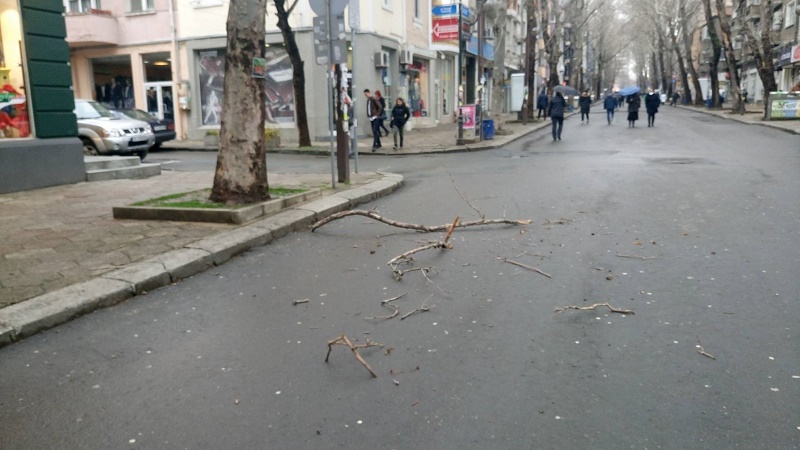 Клон се стовари в краката на бургазлия