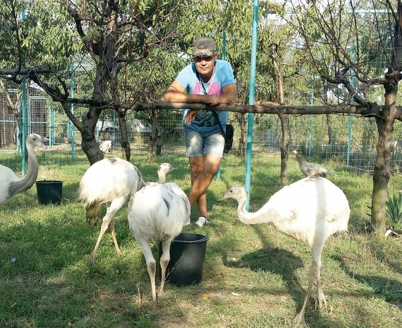 Бизнесменът Кръстьо Дъбов: Споделям имения си ден с животните 