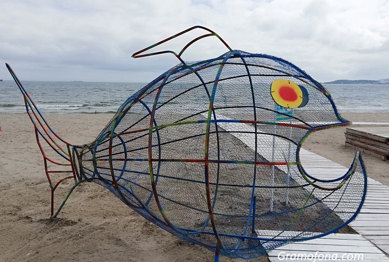Вижте гладния рибок Пластик от Крайморие, храни се с пластмаса от плажа