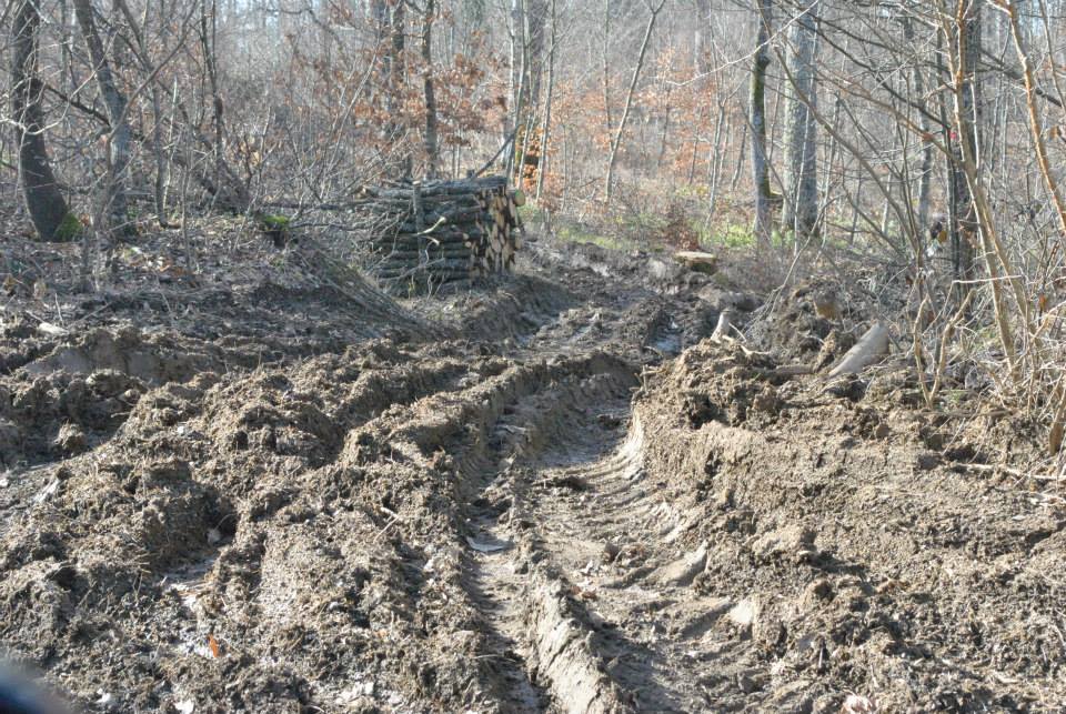 За спешни проверки в Странджа настояват от ГЕРБ - Бургас