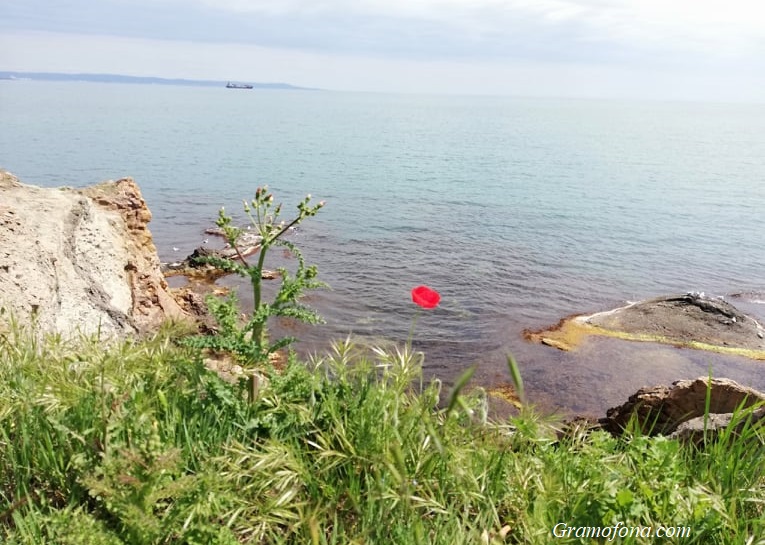 Дъжд в Западна България и много слънце по морето тази неделя