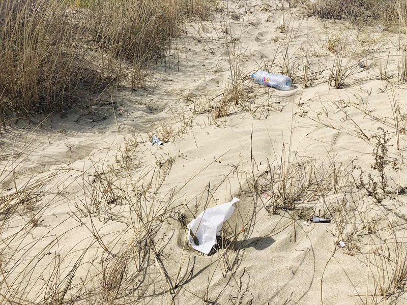 Баба 10 дена люпи семки на дюните в Крайморие, а после плаши чистачките на плажа с журналисти