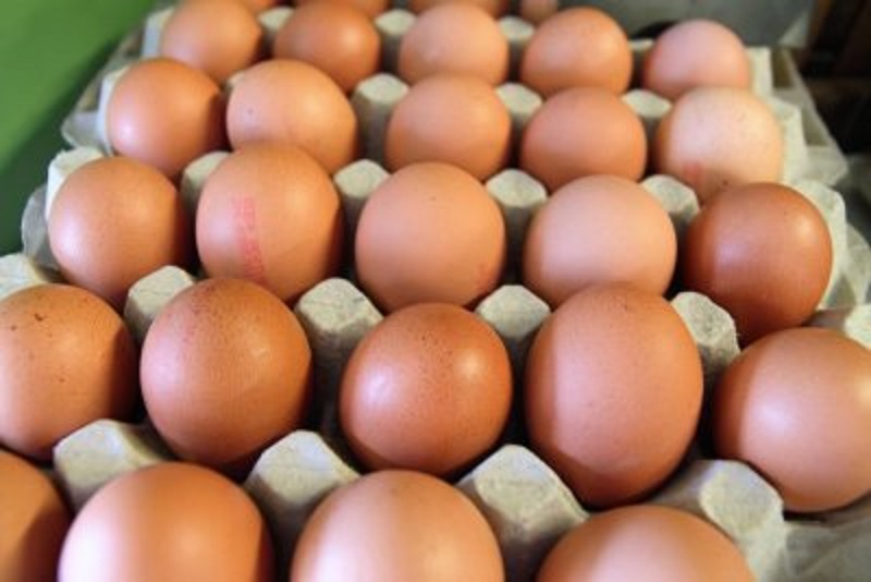 Няма да има поскъпване на яйцата преди Великден, уверяват от Съюза на птицевъдите