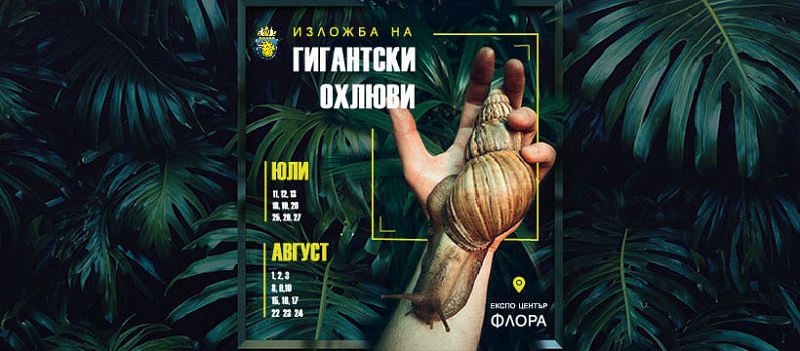 Този петък в експо център „Флора“ пристигат гигантски африкански охлюви