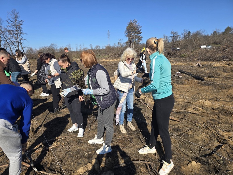 Десетки природолюбители се включиха в мащабната залесителна кампания в Сунгурларе 