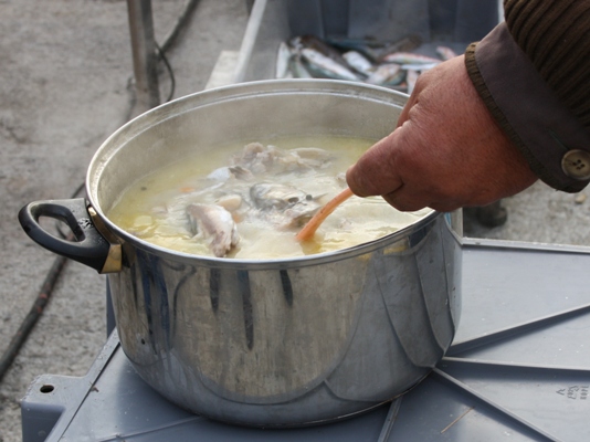 „Фестивал на рибата - вкусно и полезно“ ще се проведе и в Бургас