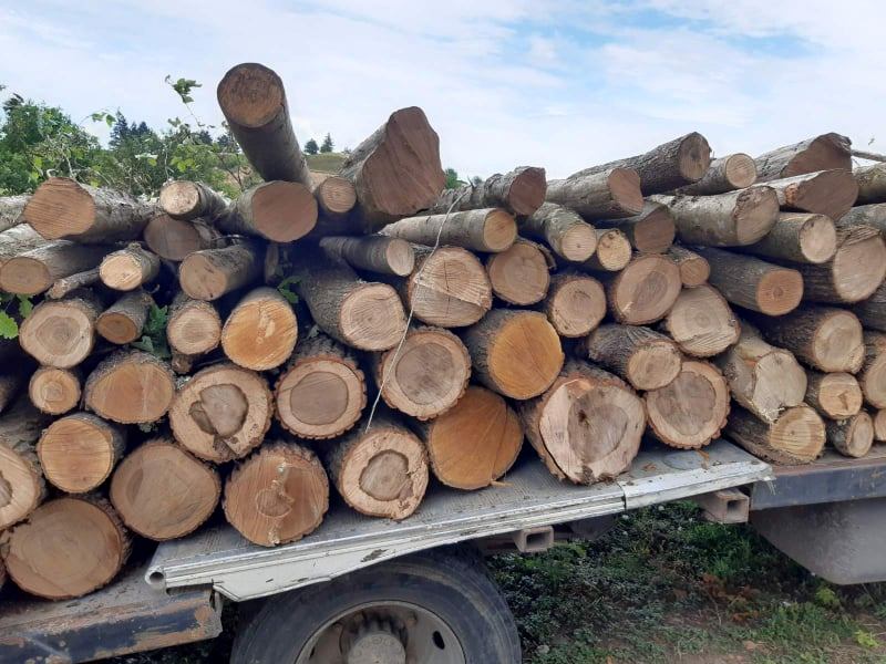 В Руенско могат да си отдъхнат, дървата за огрев вече пътуват към тях