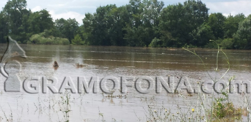 Частично бедствено положение в Кости 