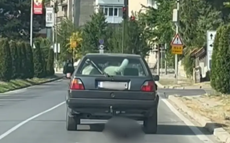 Задържаха мъж от Банско заради проявена жестокост към куче