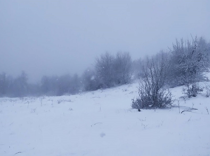 Дъждовното време у нас продължава, на места ще вали мокър сняг