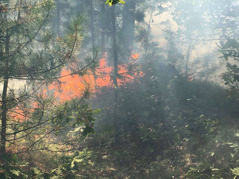 Пожарът в средецкото село Граничар се усложнява