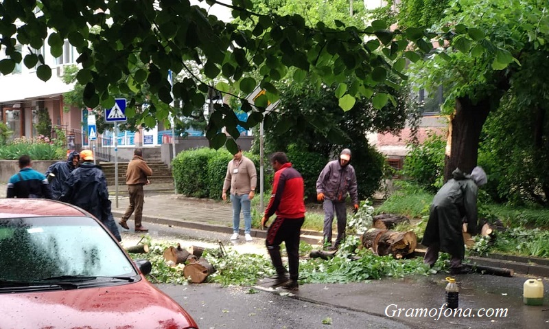 Затвориха част от улица в Бургас заради паднали клони
