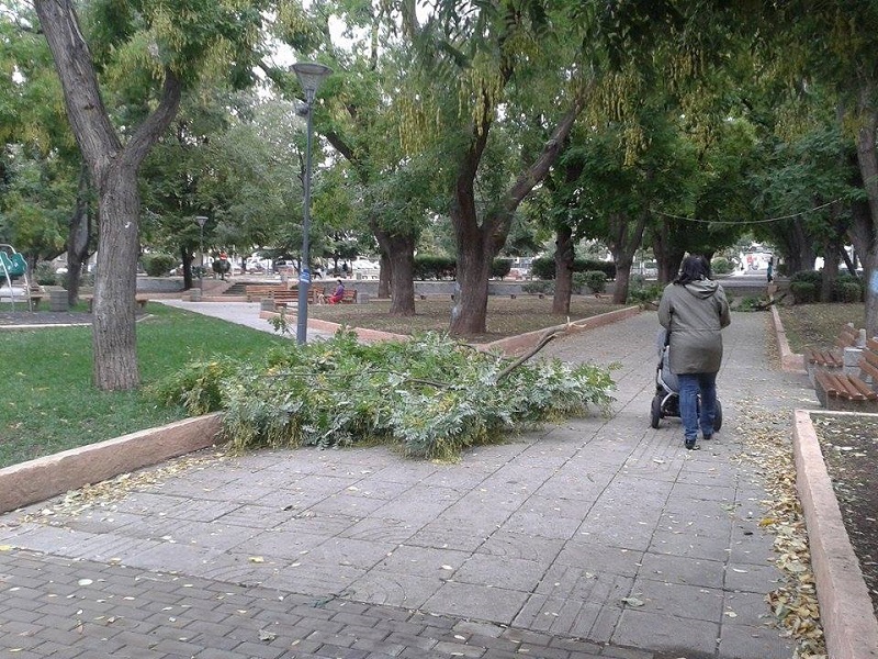 Внимавайте като се разхождате в Борисовата градина