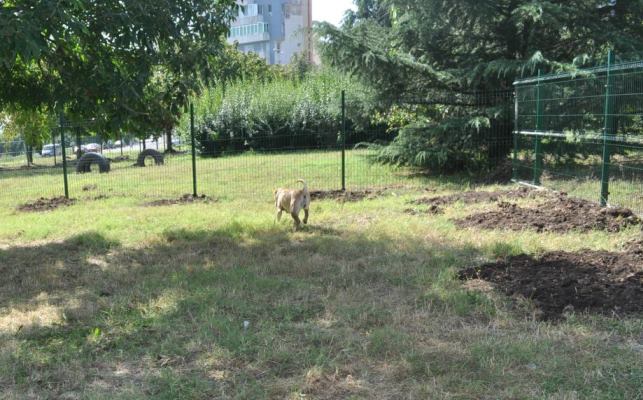 Съветници питат: Ще има ли светлина и камери в зоната за кучета в „Меден рудник“