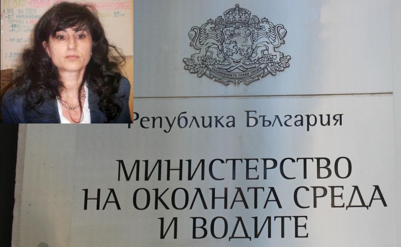 Зам.-министър за кратко. Борисов освободи Славея Стоянова по нейно желание