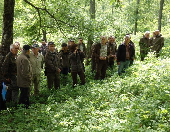 Горите в Звездец се стопанисват много добре