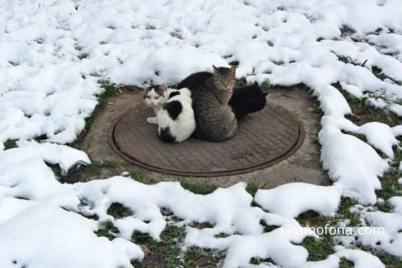 Зимата идва днес в 17:03 часа