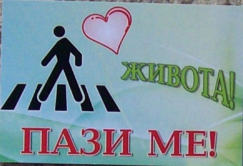 Нова кампания срещу пътни произшествия