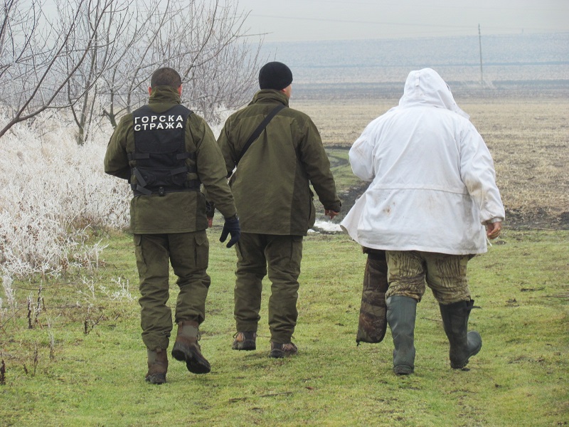 Погнаха авджии, не оставиха жива гъска