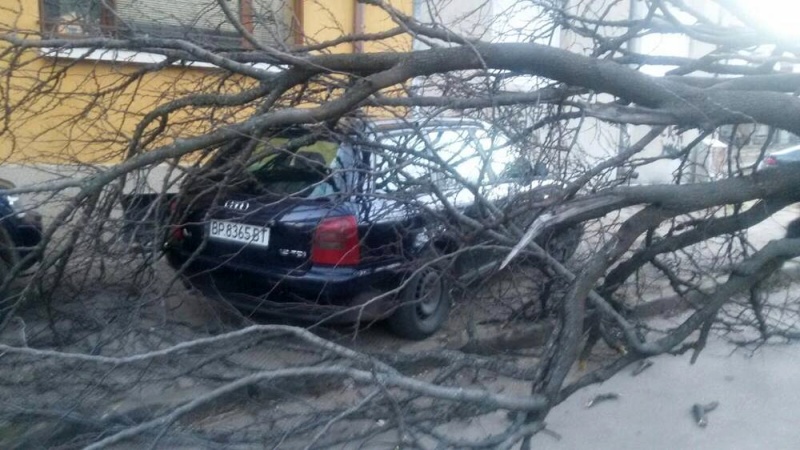 Ураганен вятър със скорост над 120 км/ч връхлетя Враца