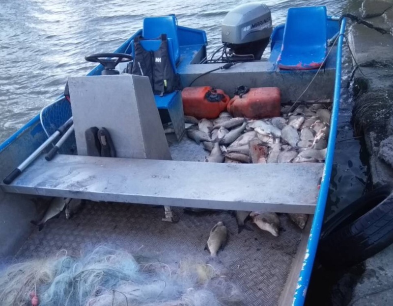 135 кила риба са иззети при проверка на Мандра
