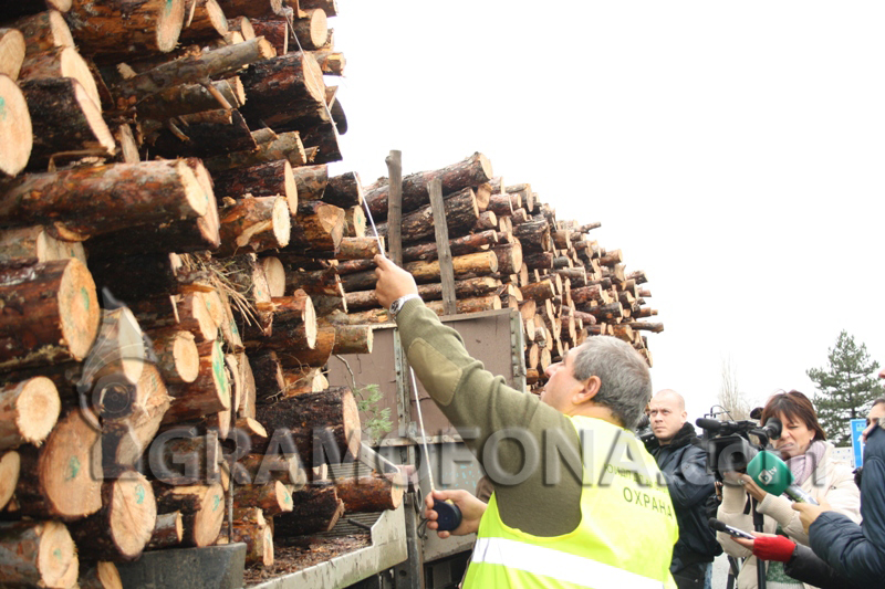 Горска стража и Жандармерия ще спират крадците на дърва