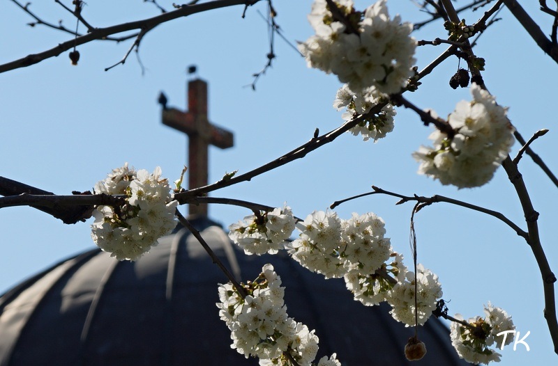 Дъждовно време до Цветница