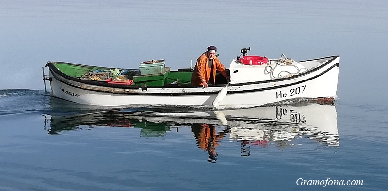 Смарид се появи в Черно море, край Ахтопол пълнят лодките със сафрид