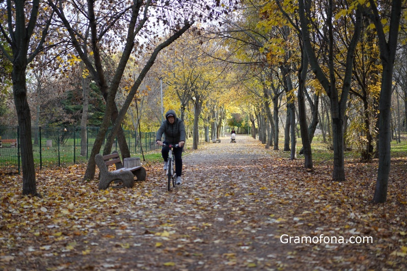 Облачно до обед, слънце след това
