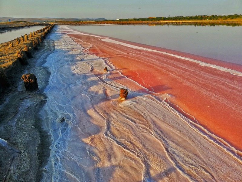 Атанасовско езеро - зеленият коридор на Бургас или риск от екологична катастрофа?