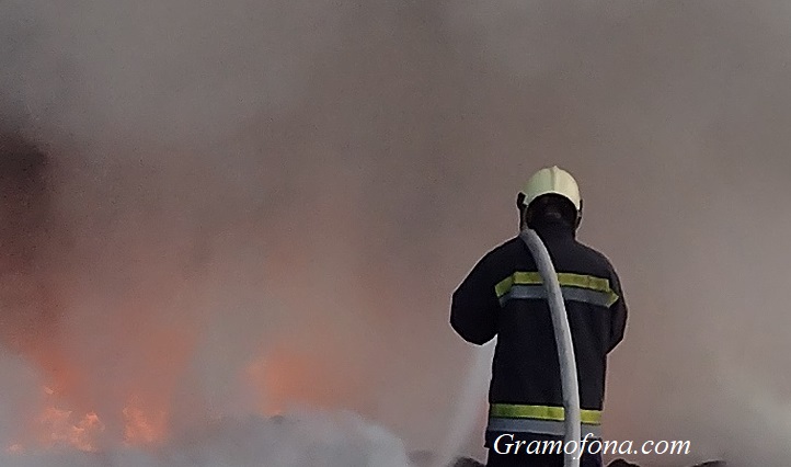 Огромен пожар в гората край Малко Търново, над 50 човека са на терен