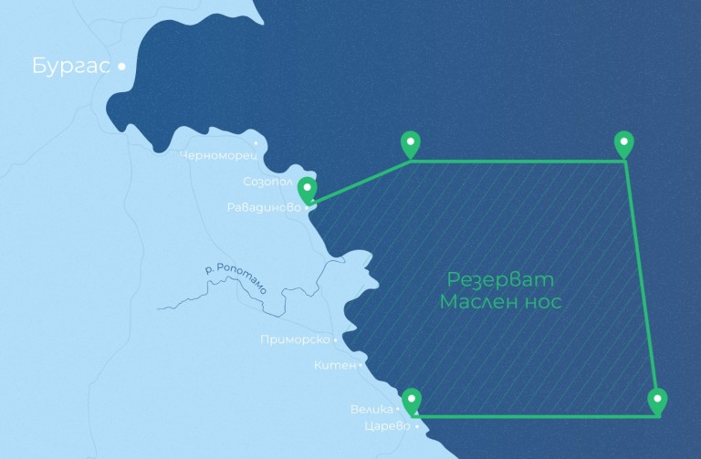 Национално разследване за потъналия кораб край Маслен нос