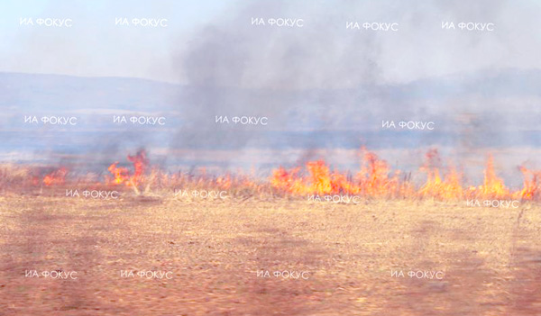 Локализиран е пожарът в Синьо Камене, община Средец