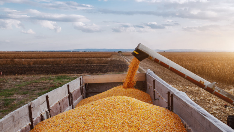 Кабинетът решава днес да забрани ли вноса на зърно от Украйна