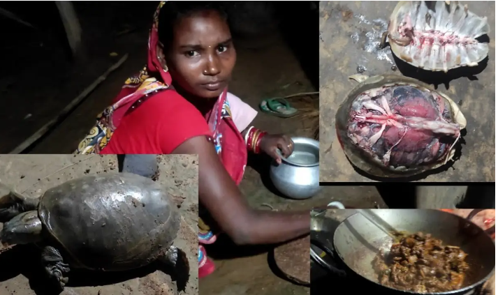 Отровно месо от морски костенурки уби 8 деца в Танзания