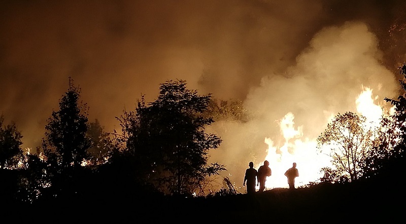 Целият състав на ДГС Казанлък участва в борбата с горския пожар