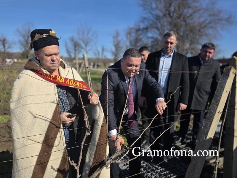 С вековни традиции, много гости и невероятно настроение празнуваха Трифон Зарезан в Сунгурларе