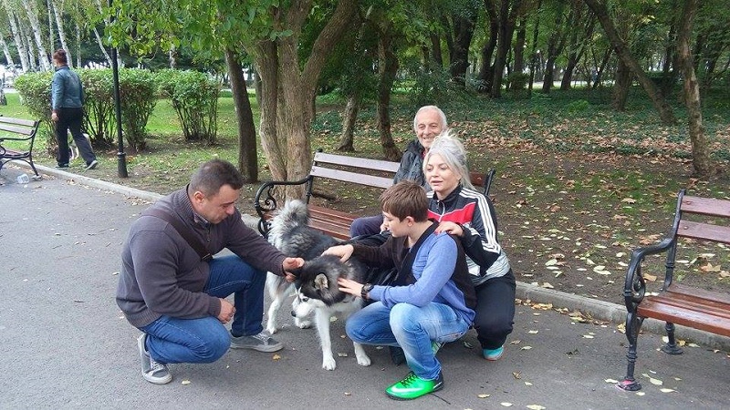 Кандидат-съветници част от кампания в помощ на бездомните кучета