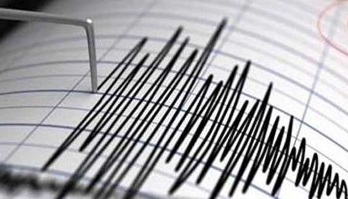 Земетресение с магнитуд 3,9 по Рихтер в Белград