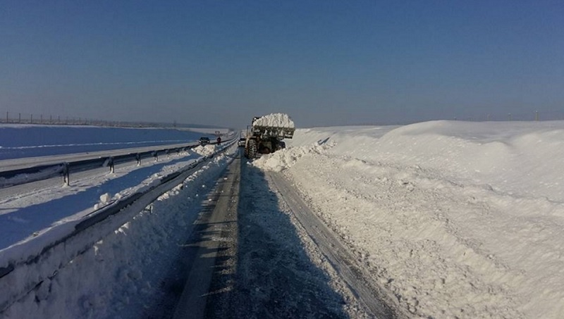 Кипариси ще пазят магистралата край Карнобат от снежни преспи