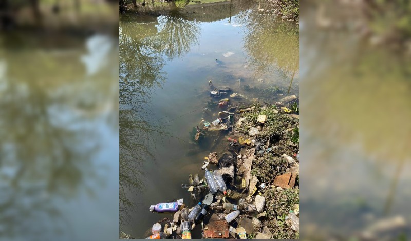 Боклуци и трупове на умрели животни плуват в река Средецка