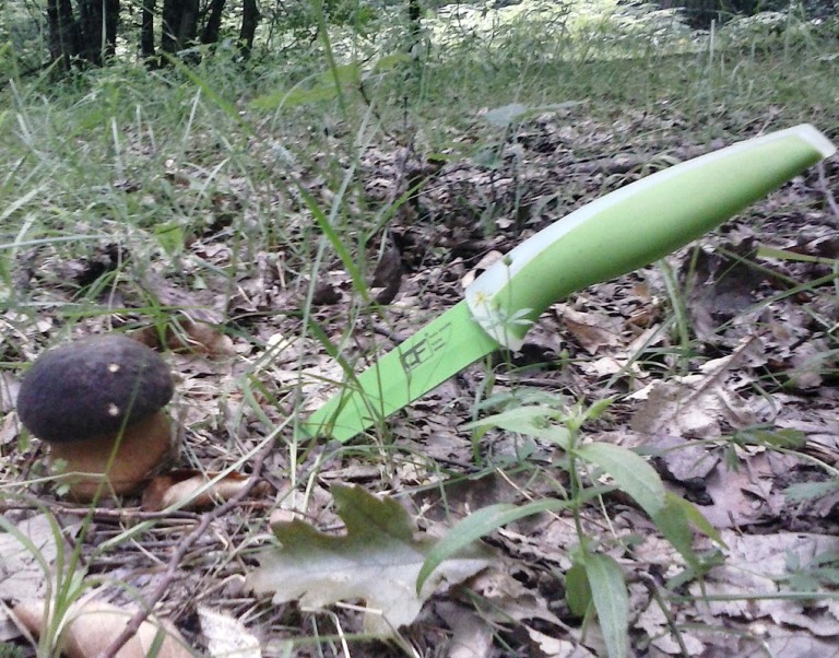 Стрелба заради незаконно бране на гъби