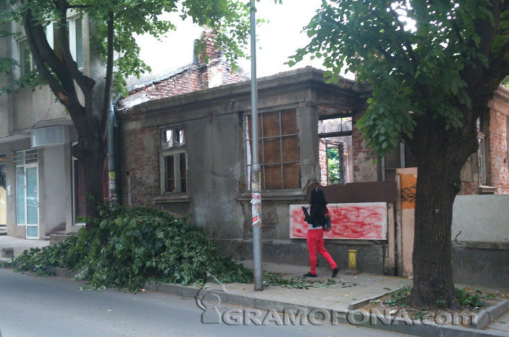 Сигнал: "Княз Борис" потъна в изсъхнали клони