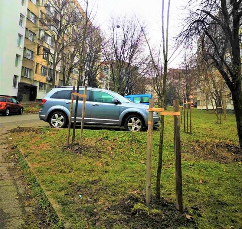 Садят дървета в три бургаски комплекса