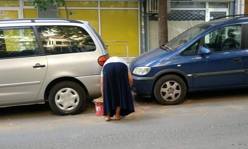 Метачите на липов цвят пак плъзнаха из Бургас