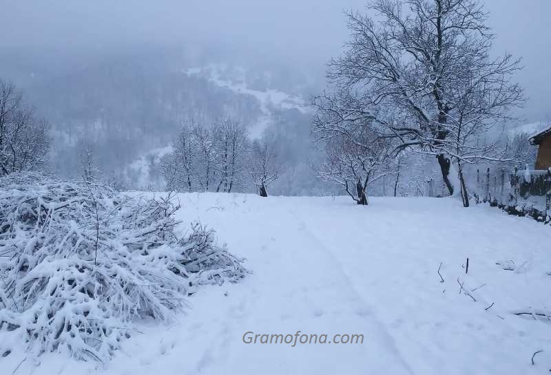 Идва студен въздух, ще вали дъжд и сняг