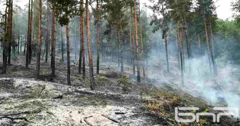 Област Кърджали влиза в екстремален индекс от опасност на пожари